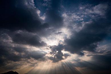 《猫咖经理》试玩Demo上线 支持简体中文